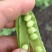 豌豆荚