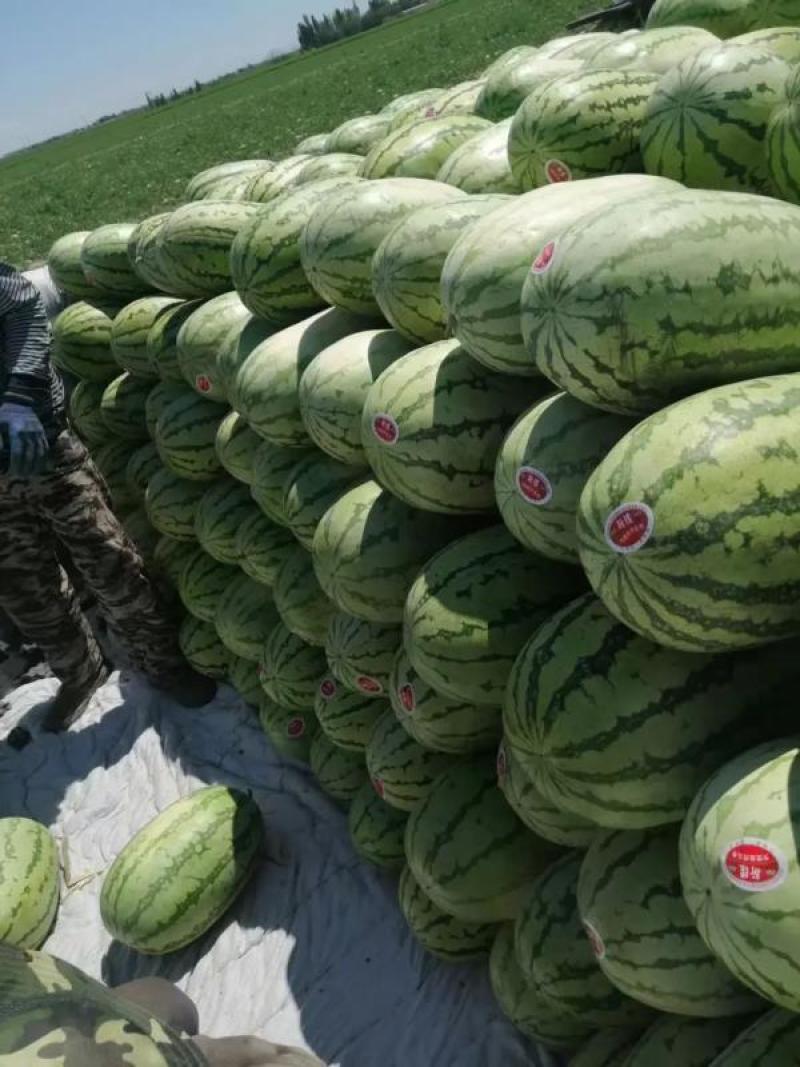 湖北西瓜硒砂瓜石头瓜规格齐全量大优惠支持视频看货代发