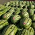 湖北西瓜硒砂瓜石头瓜规格齐全量大优惠支持视频看货代发