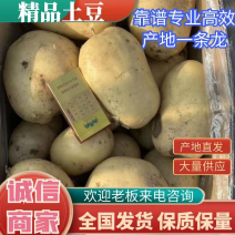 【实力商家】黄心土豆，V7希森沃土荷兰!