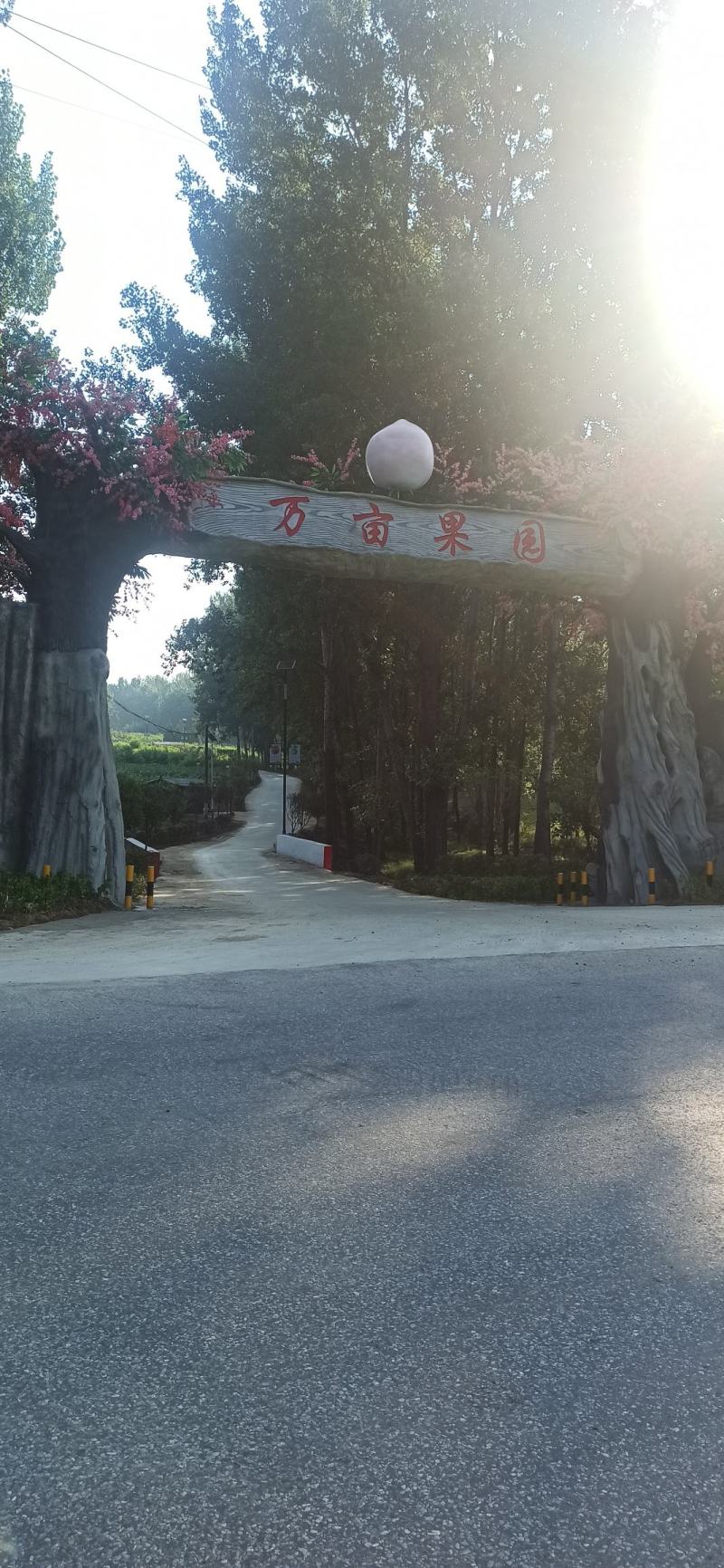 驻马店泌阳万亩果园朱砂红