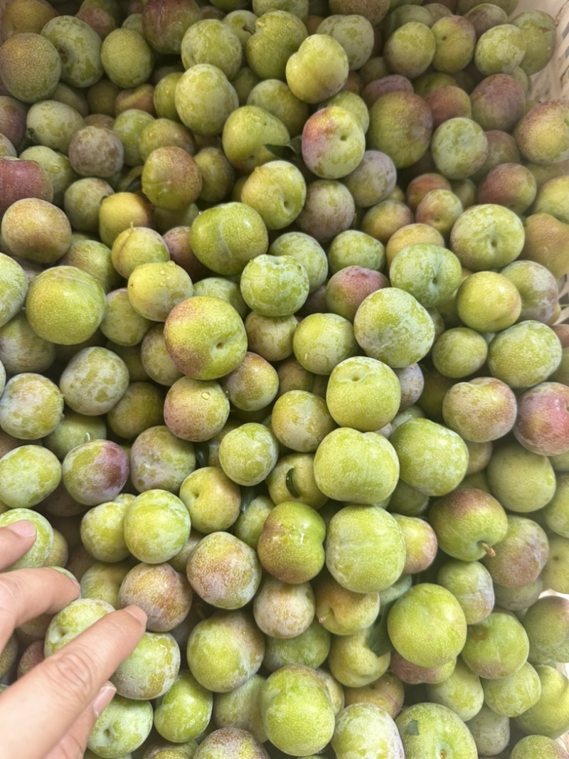 半边红茵红李电商果大量上市价格美丽