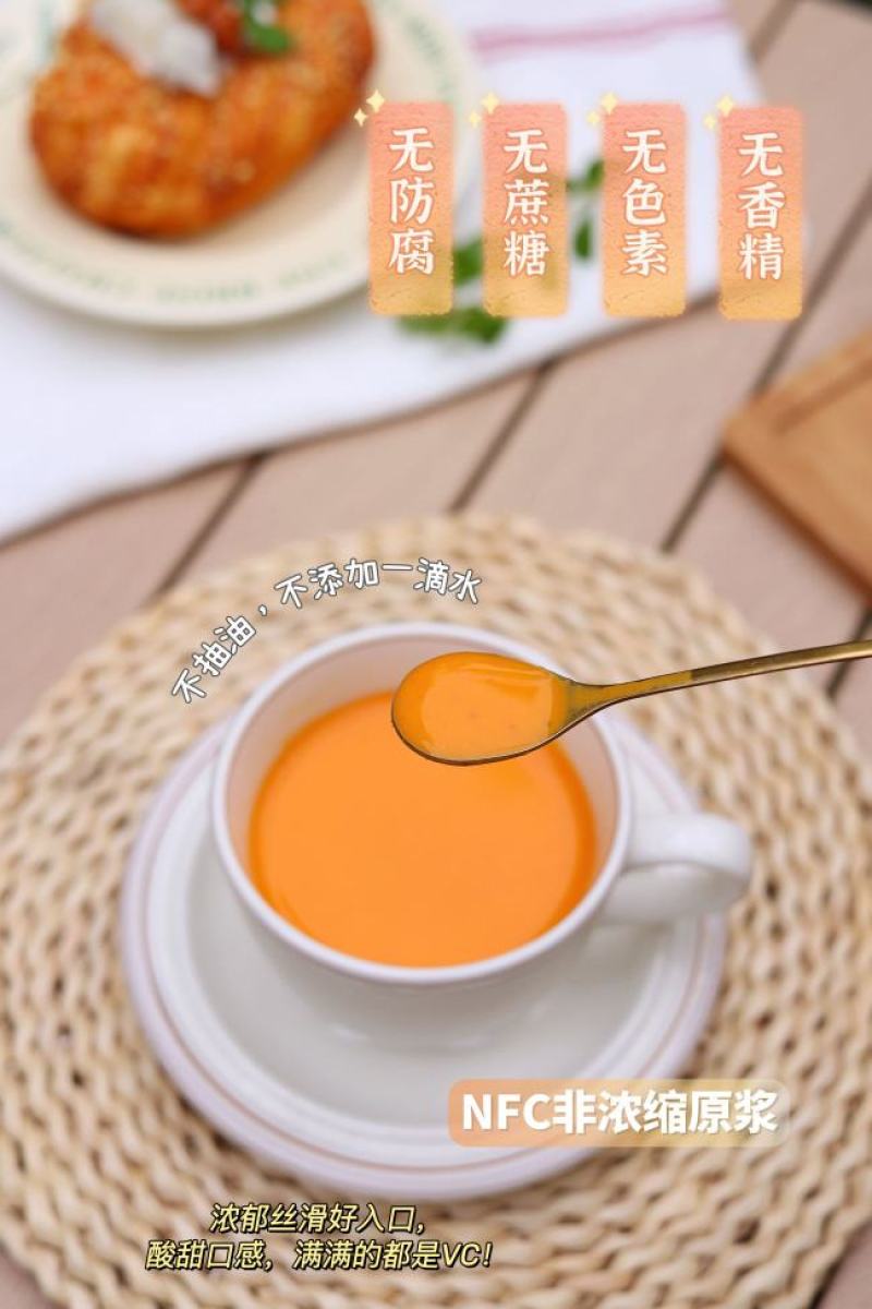 沙棘冻干全果粉沙棘冻干粉一袋125克独立包装