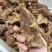 大块牛碎肉卤牛肉全熟纯干货餐饮店专用《保真》