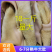 【包邮-40斤牛肚】批发40斤半成品金钱肚牛大肚