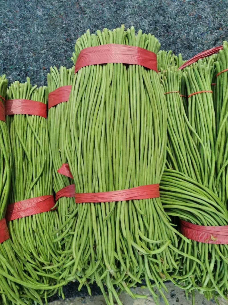 精品蔬菜