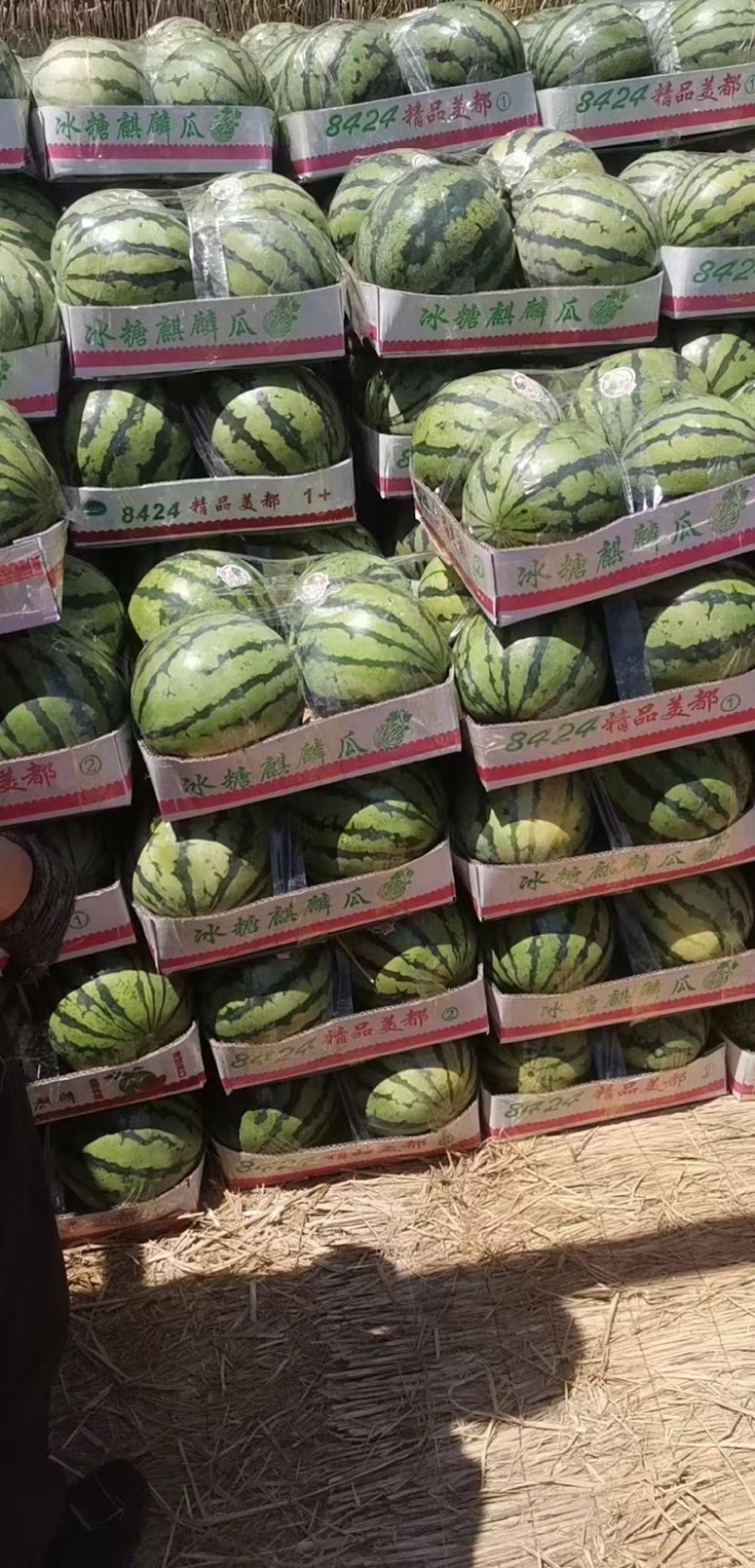 美都大降价