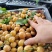 浦北黑黄皮27号大量上市了，