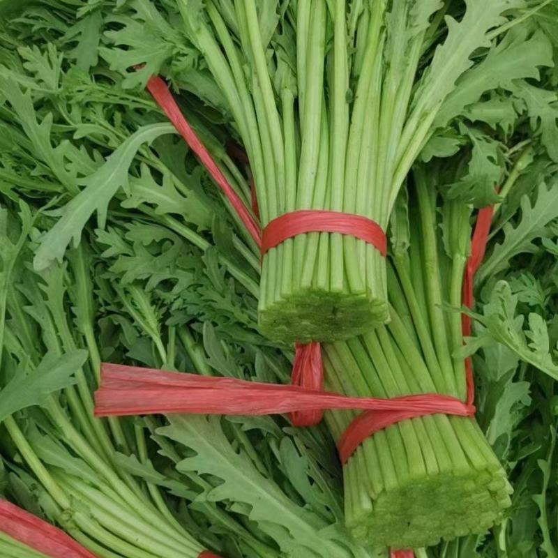 沈阳茼蒿，大量上市，实力代办一条龙服务。