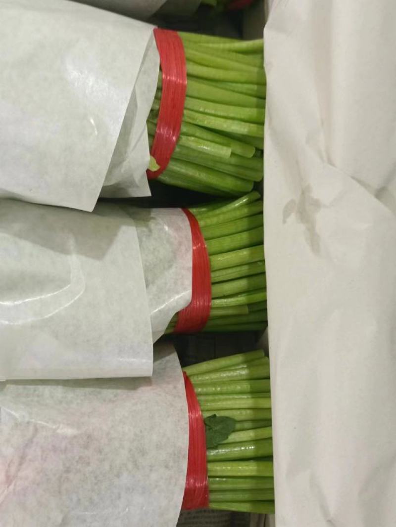 沈阳茼蒿，大量上市，实力代办一条龙服务。