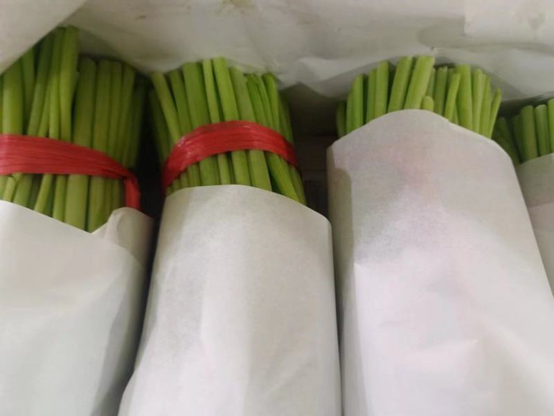 沈阳茼蒿，大量上市，实力代办一条龙服务。