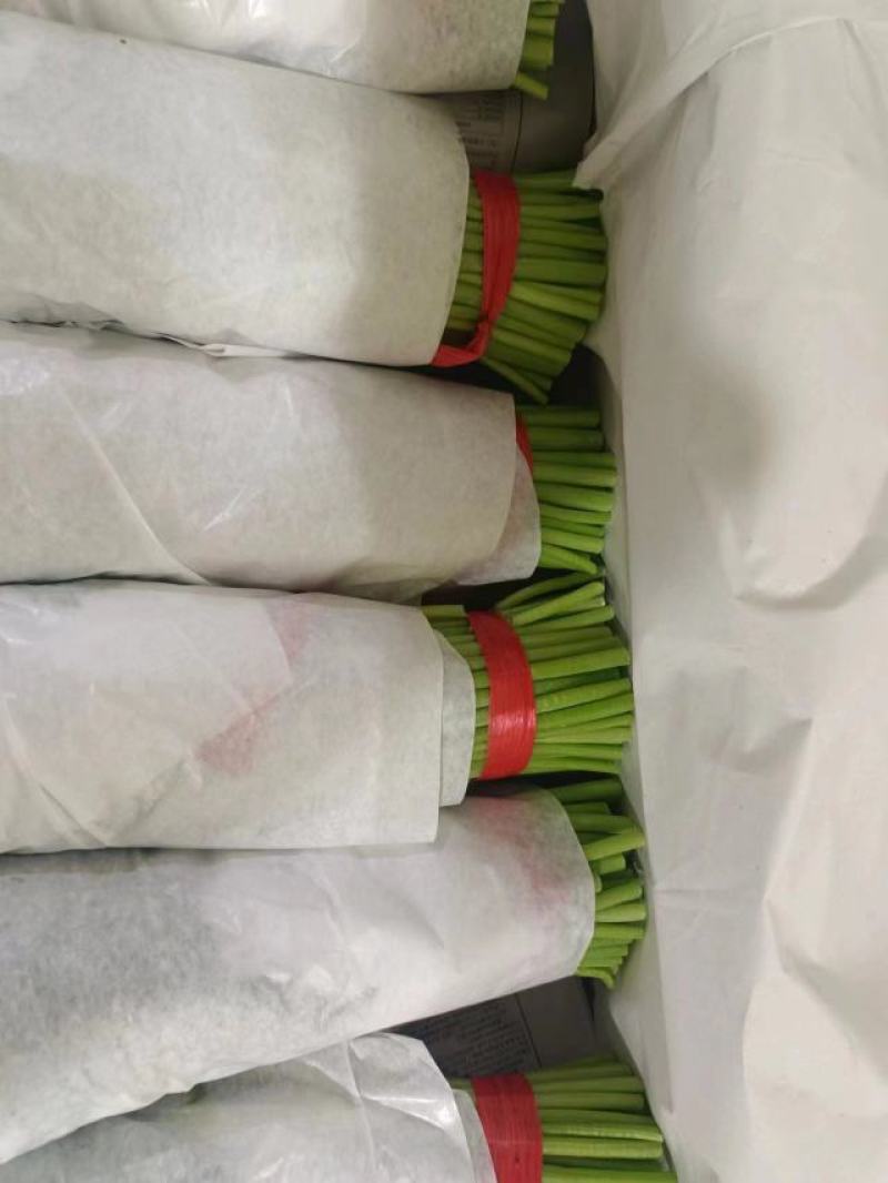 沈阳茼蒿，大量上市，实力代办一条龙服务。
