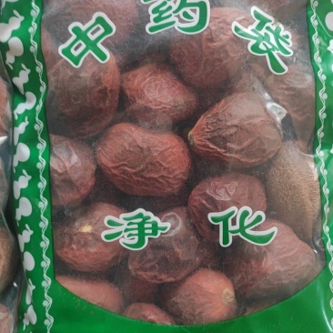 铁树果铁树子无硫干货欢迎选购！量大从优！