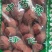 铁树果铁树子无硫干货欢迎选购！量大从优！