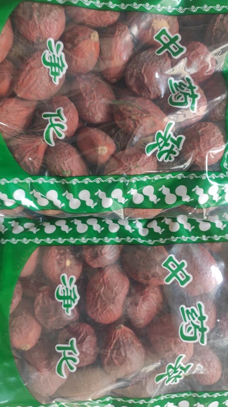 铁树果铁树子无硫干货欢迎选购！量大从优！