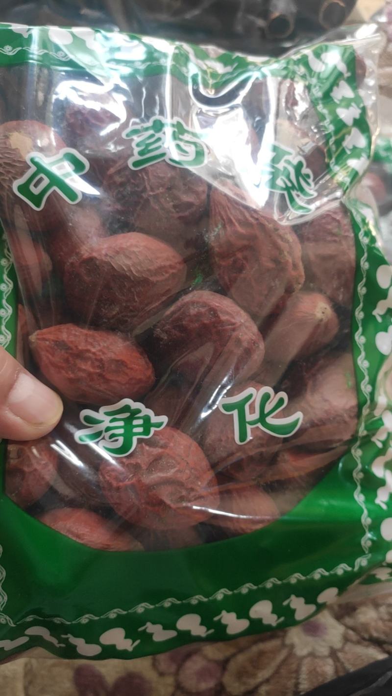 铁树果铁树子无硫干货欢迎选购！量大从优！