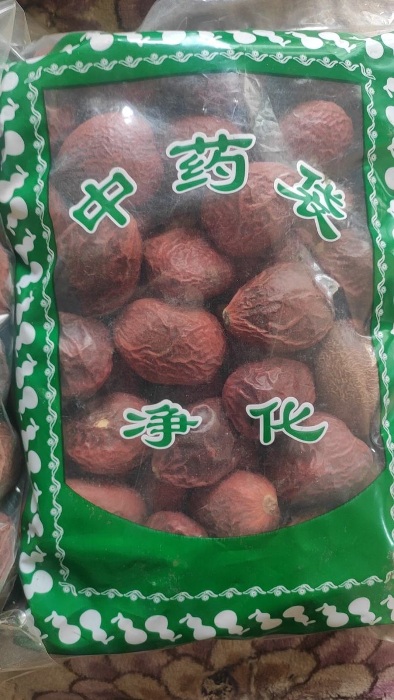 铁树果铁树子无硫干货欢迎选购！量大从优！