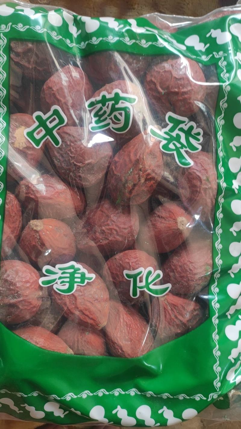 铁树果铁树子无硫干货欢迎选购！量大从优！