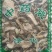 仙人掌干货仙人掌欢迎选购！量大从优！