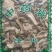 仙人掌干货仙人掌欢迎选购！量大从优！