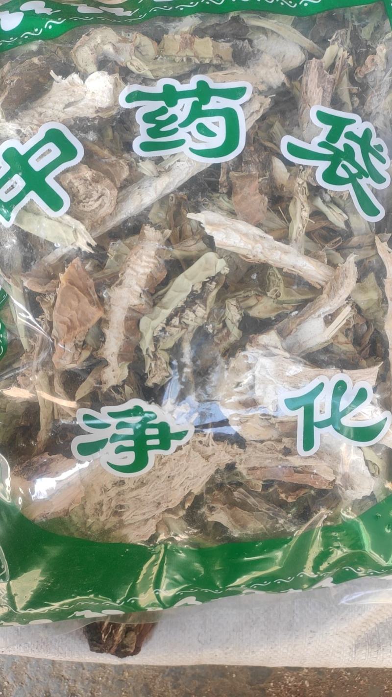 仙人掌干货仙人掌欢迎选购！量大从优！
