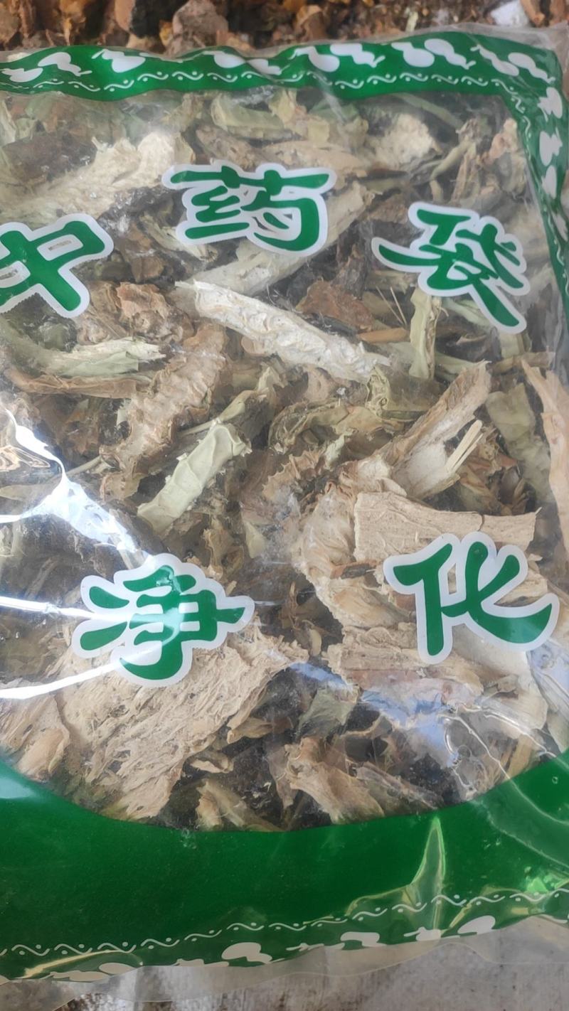仙人掌干货仙人掌欢迎选购！量大从优！