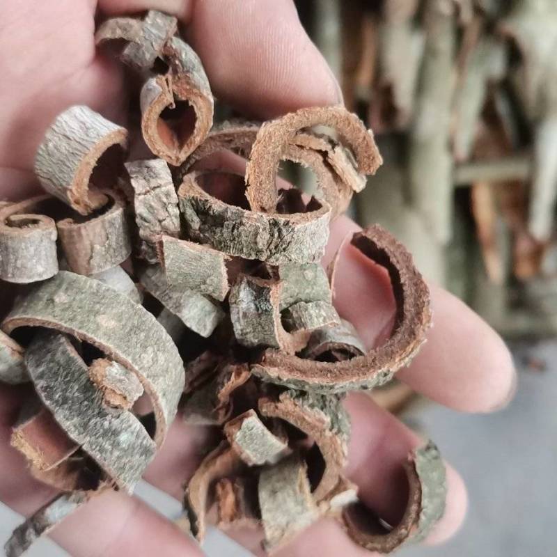 厚补皮皮丝