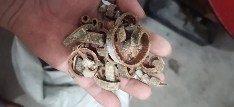 厚补皮皮丝
