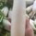 高山白萝卜大量供应，货源充足，保质保量，随行就市！