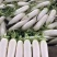 高山白萝卜大量供应，货源充足，保质保量，随行就市！