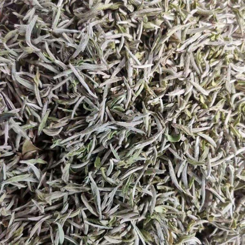 头春牡丹王香气足高山茶叶自产自销品质保证品种齐全
