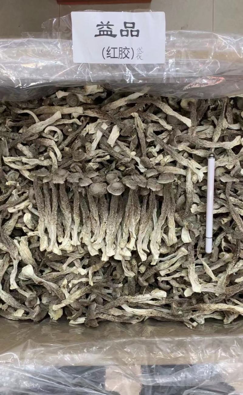 鹿茸菇干货产地直销批发浓香切根脆脆菇精选菌菇蘑菇食用菌