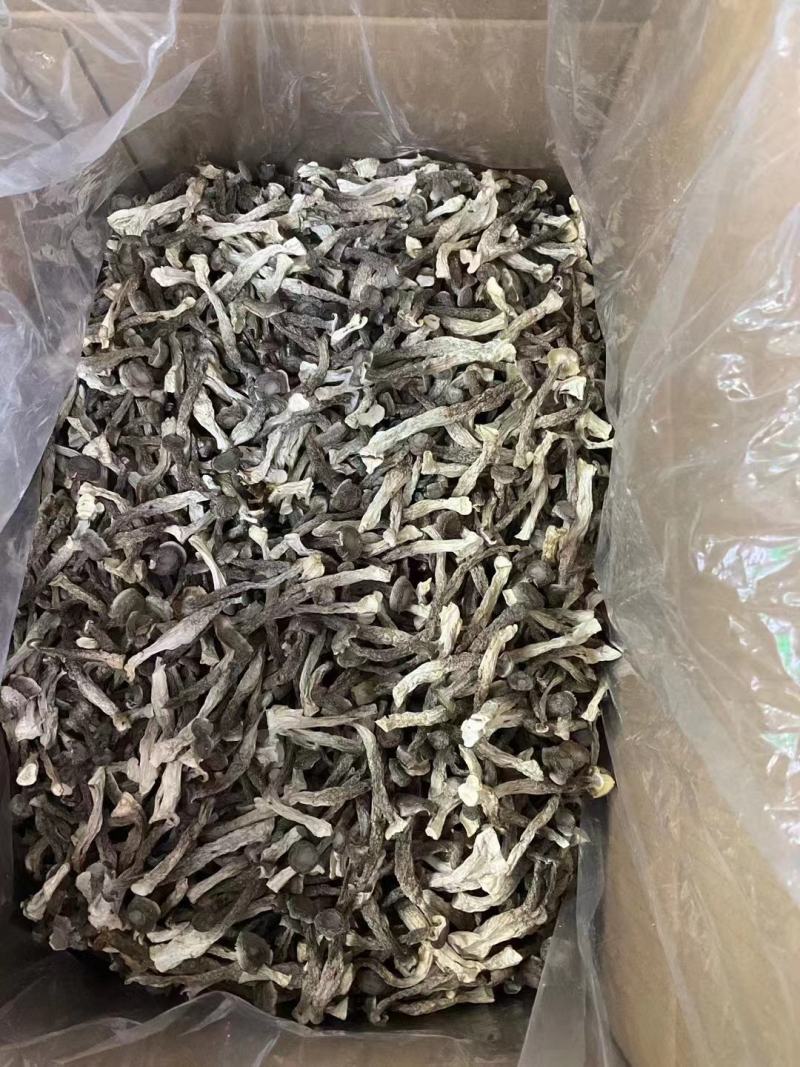 鹿茸菇干货产地直销批发浓香切根脆脆菇精选菌菇蘑菇食用菌