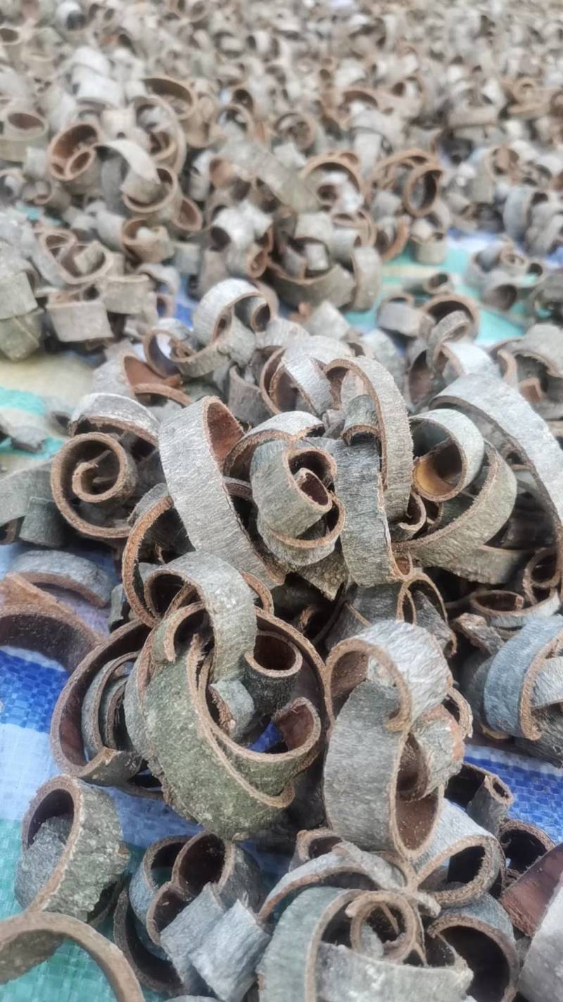 厚补皮皮丝