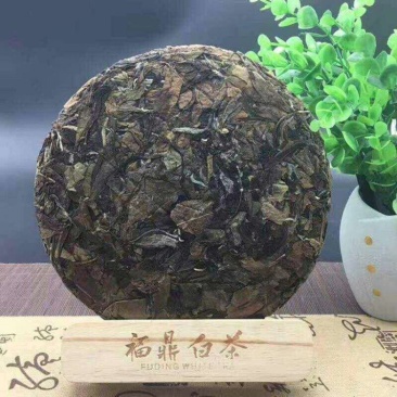 蜜兰香碳焙浓香型白茶寿眉散茶茶叶大量供应