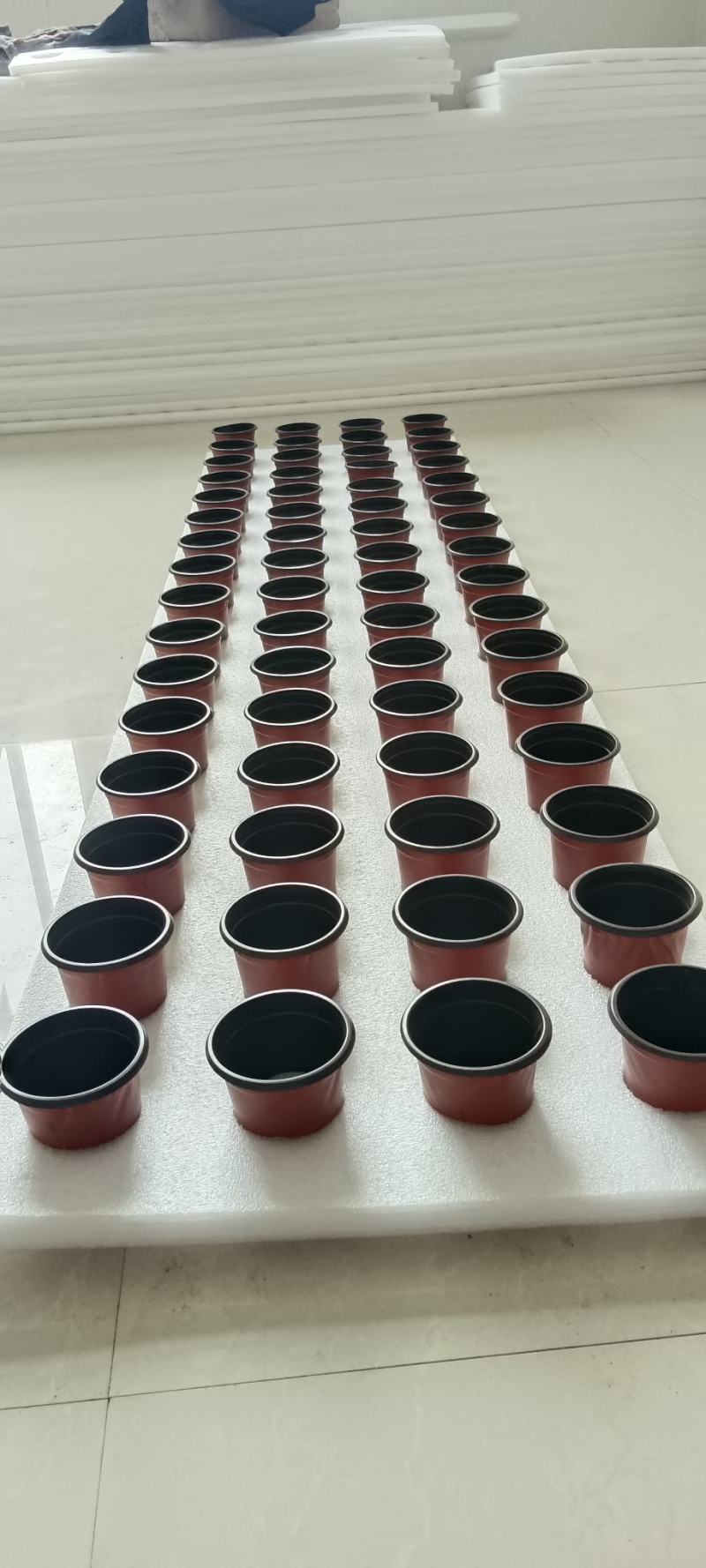 漂浮板蔬菜/水稻定植板水培绿化蔬菜设备鱼塘水面种植覆盖