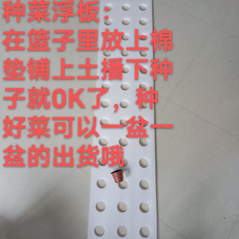 漂浮板蔬菜/水稻定植板水培绿化蔬菜设备鱼塘水面种植覆盖