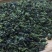 铁观音茶叶新茶浓香型兰花香茶产地茶农散装定制茶礼盒伴手礼