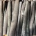 【优选】广西精品桂皮自产自销，基地种植，现货直发价格优惠