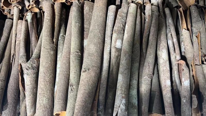 【优选】广西精品桂皮自产自销，基地种植，现货直发价格优惠