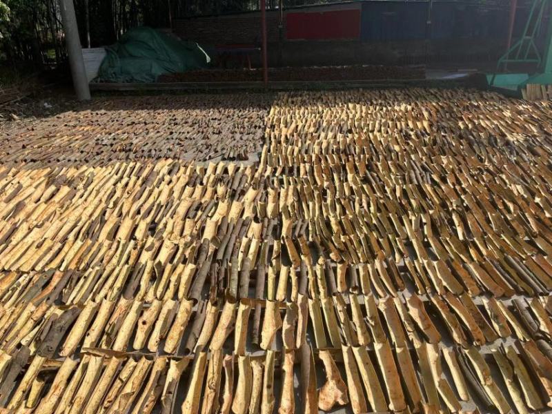 【优选】广西精品桂皮自产自销，基地种植，现货直发价格优惠