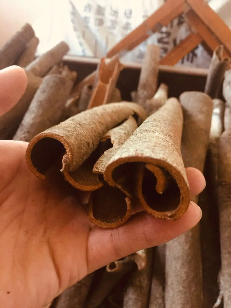 【优选】广西精品桂皮自产自销，基地种植，现货直发价格优惠