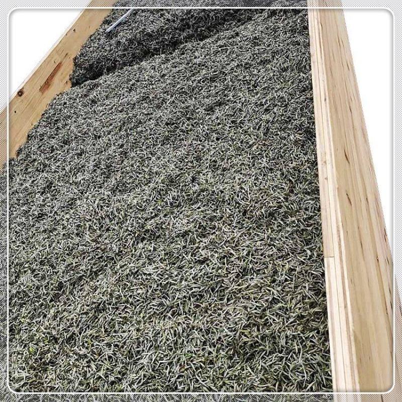 大白白茶散茶单芽紫玫瑰混合茶叶一手货源