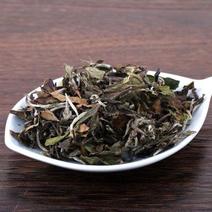 白牡丹茶叶浓香嫩芽饮料厂茶原料高山白茶