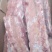 国产多肉龙骨