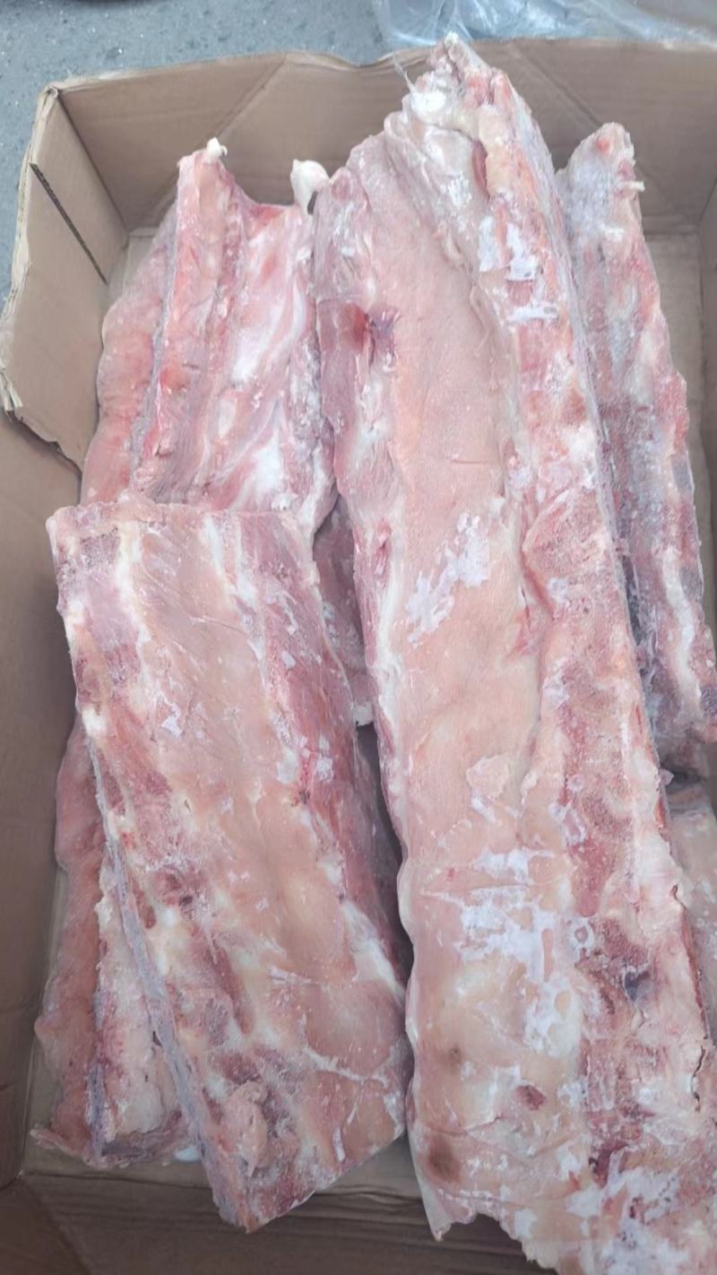 国产多肉龙骨