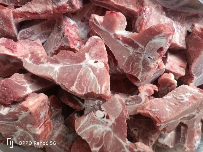 国产多肉龙骨