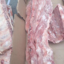 国产多肉龙骨