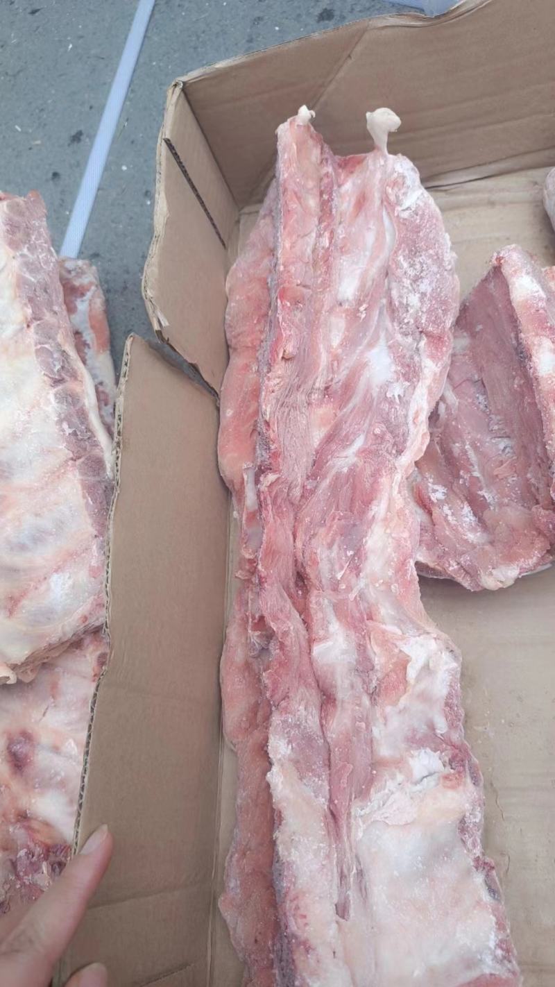 国产多肉龙骨