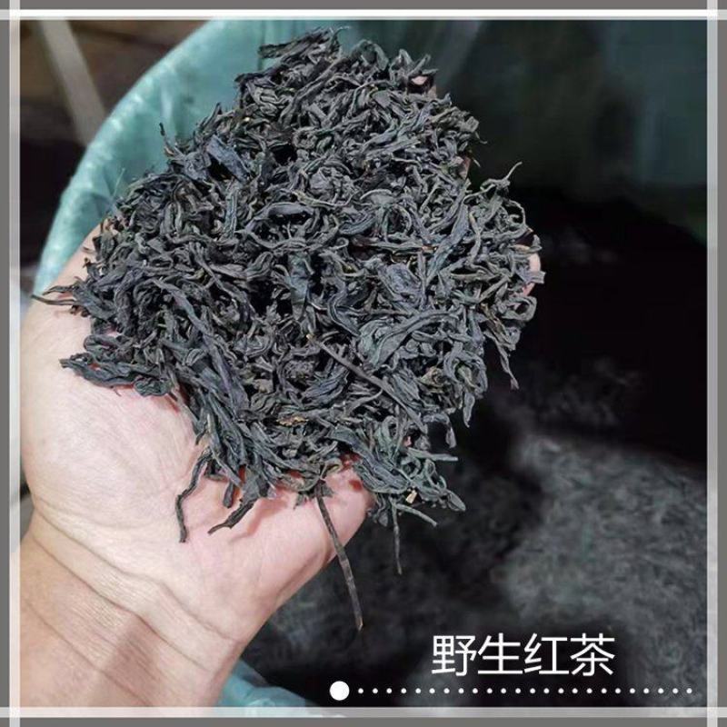野生红茶高山正山小种浓香型咖啡奶茶店基底茶批量供应饮料商